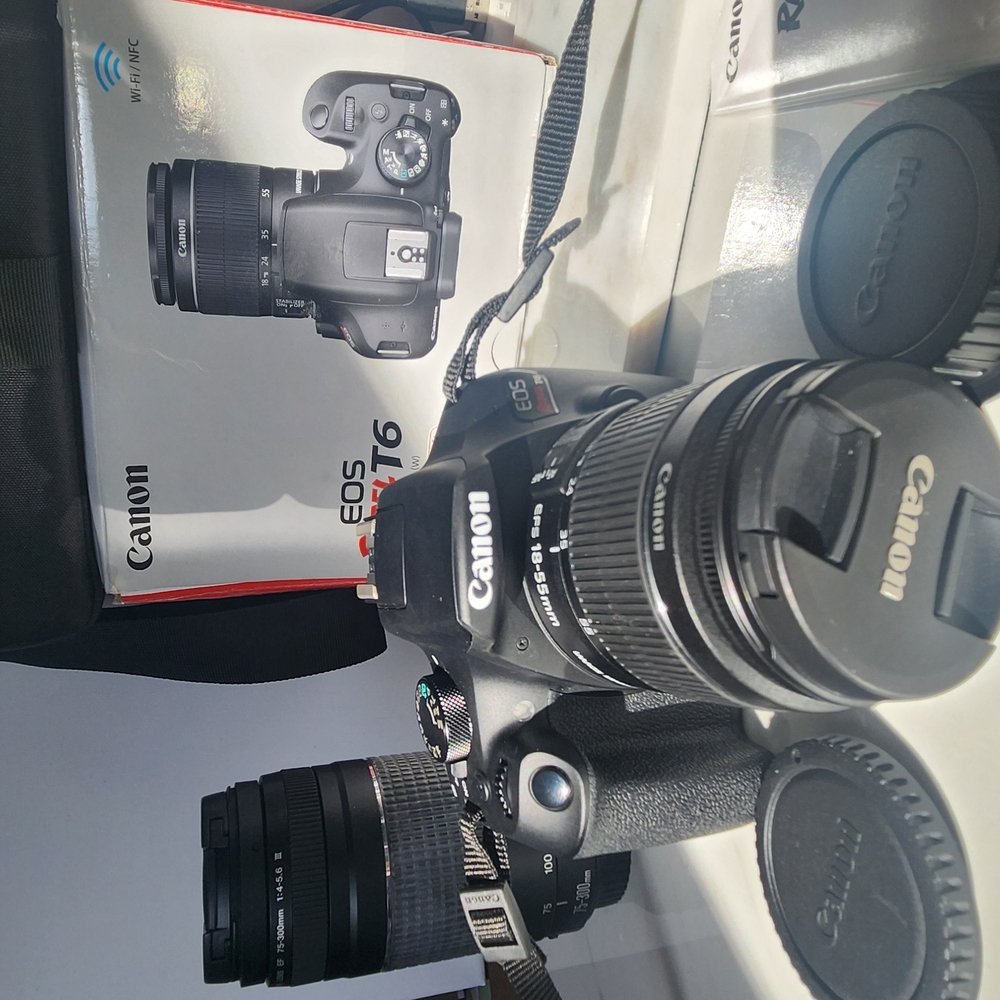 Canon EOS Rebel T6 DSLR Camera - Black